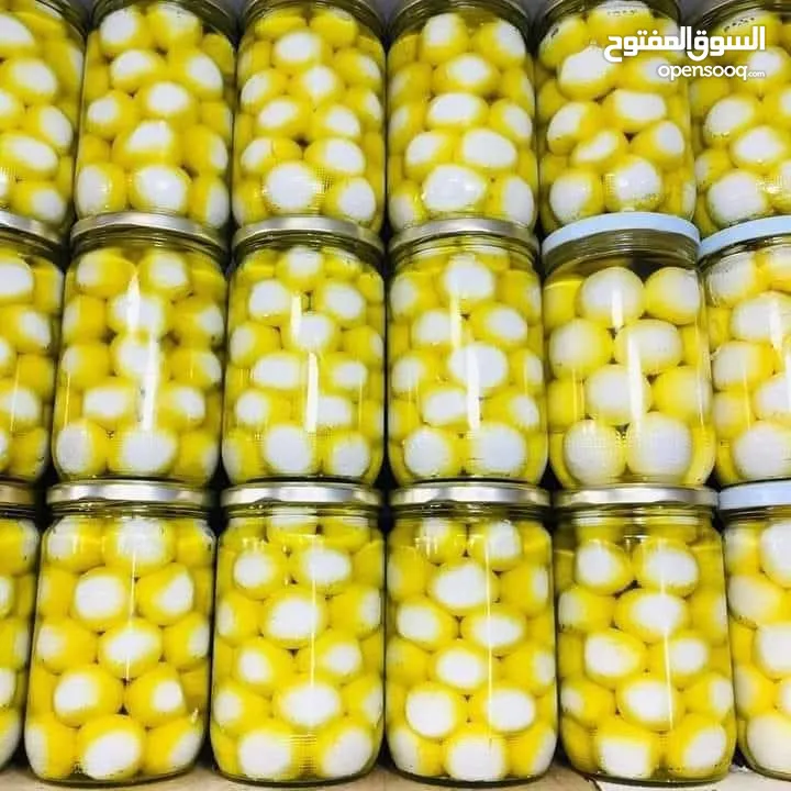 طارق مغير طوباس