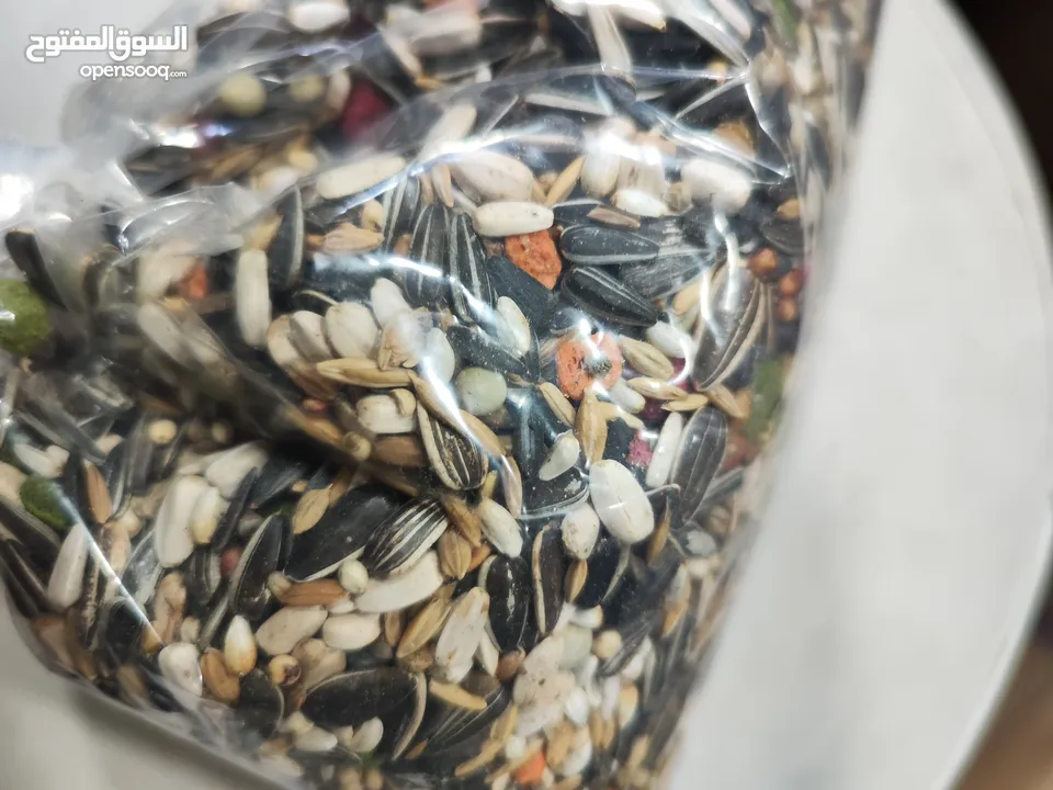 خلطة لكل انواع الطيور كمكل غذائي يومي لإستكمال الاملاح والمعادن والمواد المغذية الضرورية لصحة الطير