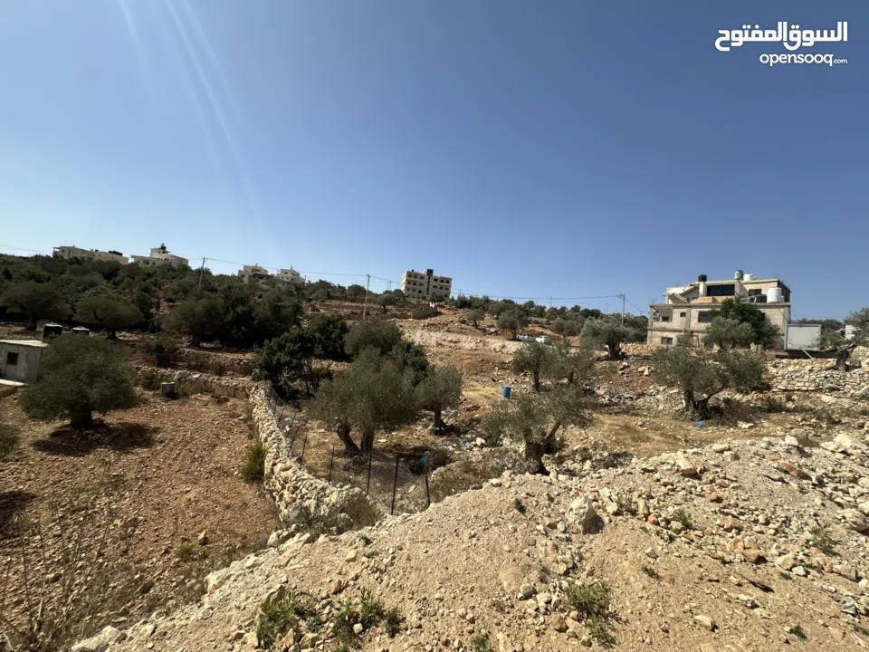 قطعة ارض نص دونم 500متر منطقة A للبيع جفنا-زعبوب