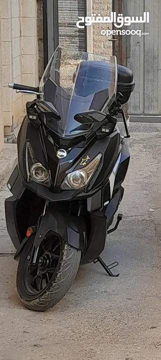 فزبة ميه الميه