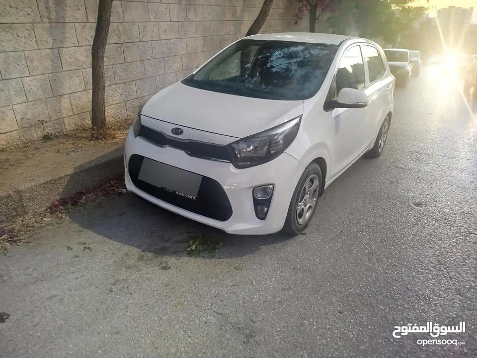 كاش او نص بنص بيكانتو مطور1250 سعر حرق45