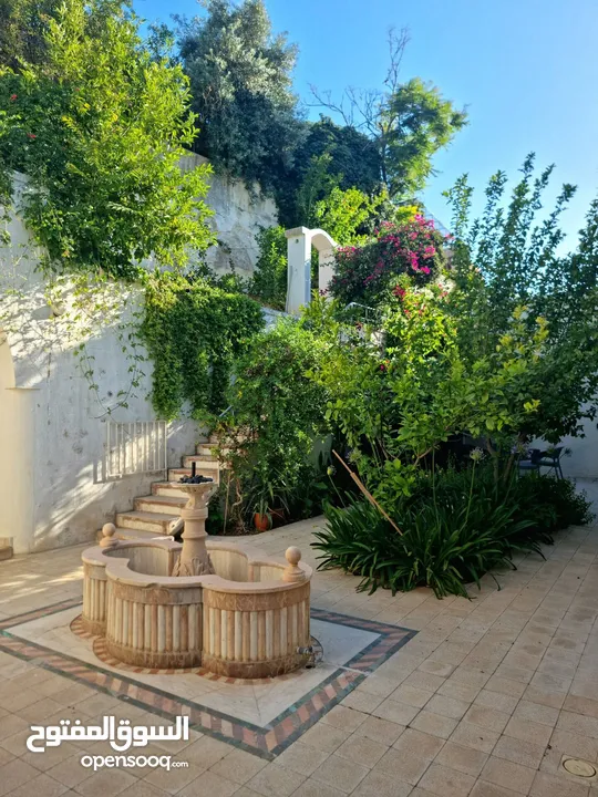 ستديو للايجار ( Property 39474 )-174834751