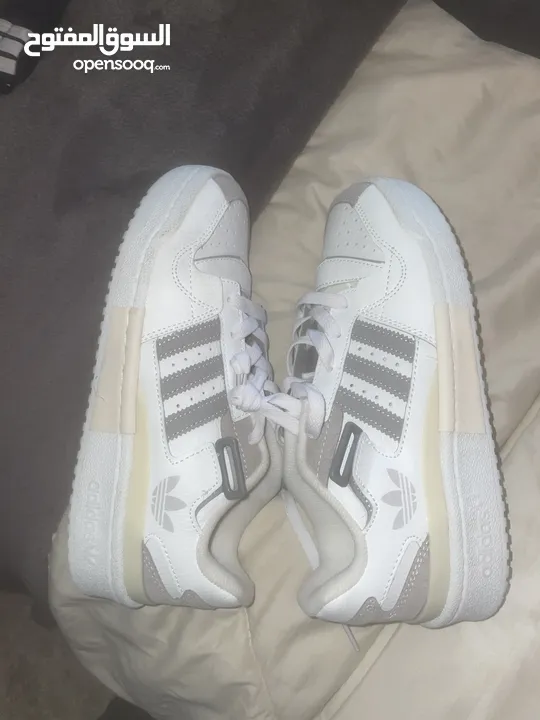 Adidas forum low