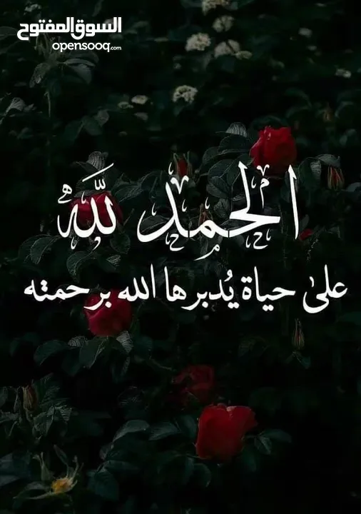 جراند ستااركس مواصفات خاصة  اضافات اصلي شركة