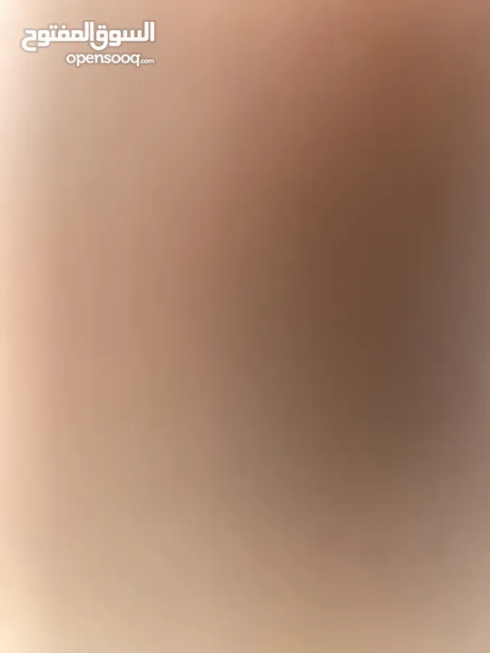 مطلوب منزل مستقل لليجار في عمان