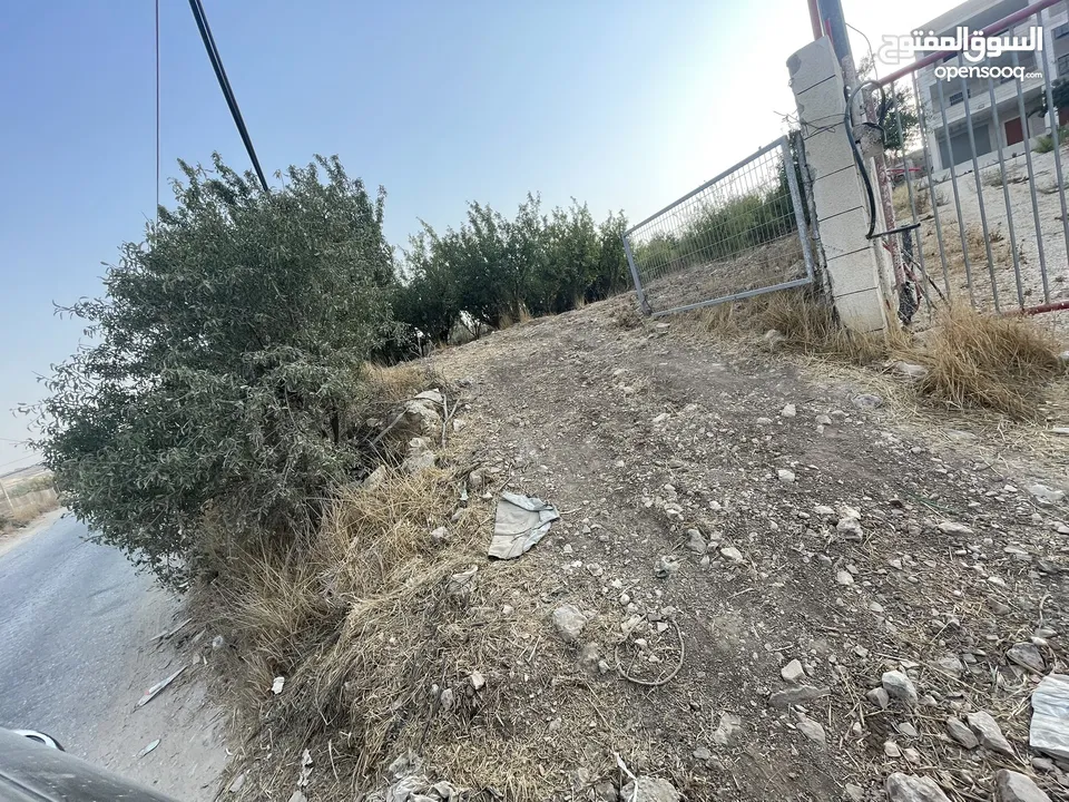 ارض للبيع بنص السعر و دقيقة عن خط ستين و 10 دقايق عن راس الجورة ، موقع ممتاز واصل كافة الخدمات