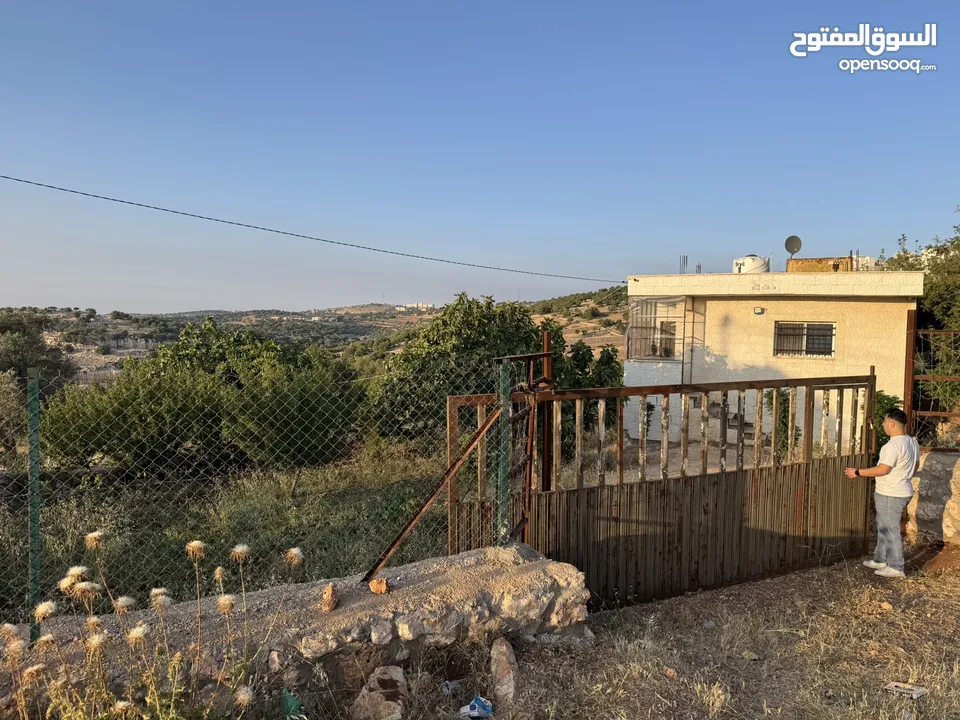 مزرعه للبيع / عجلون / رأس منيف