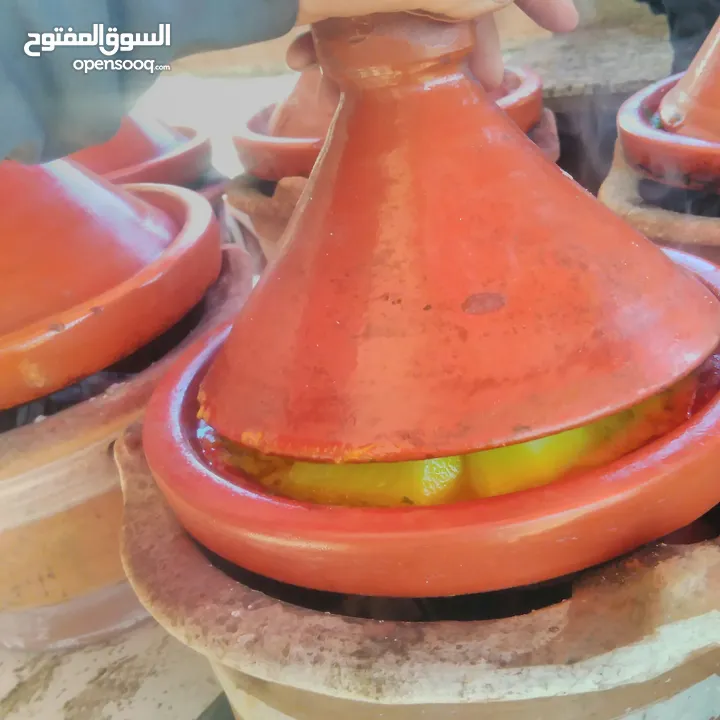 تعاونية الإبل المغربي لحم  ولحلب و بول الإبل