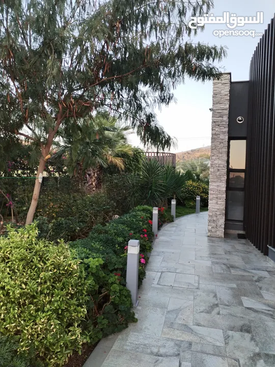 من أجمل مزارع تل الرمان بالقرب من مطعم خيل و ليل مزروعة مميزة تصميم عصري