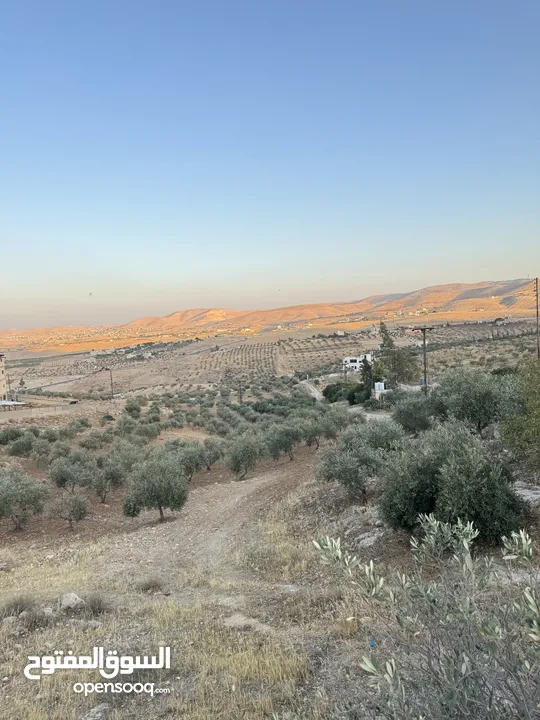 ارض مرتفعه للبيع