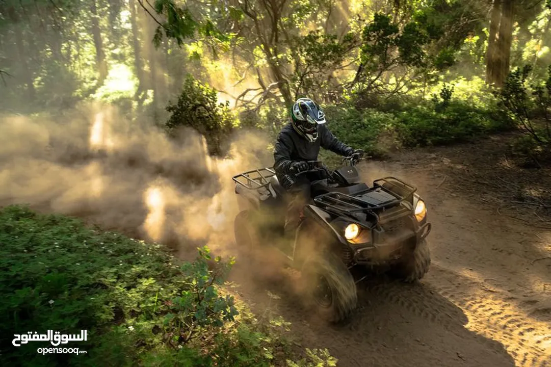 Kawasaki BRUTE FORCE 300