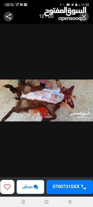 لحام لذبح اضاحي