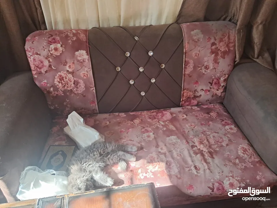 عفش للبيع مستعمل بحالة جيدة