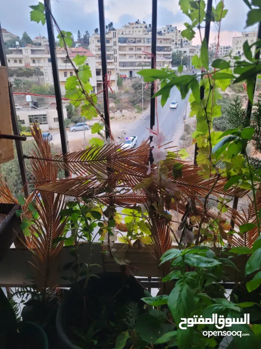 شقه للبيع او البدل على بيت مستقل