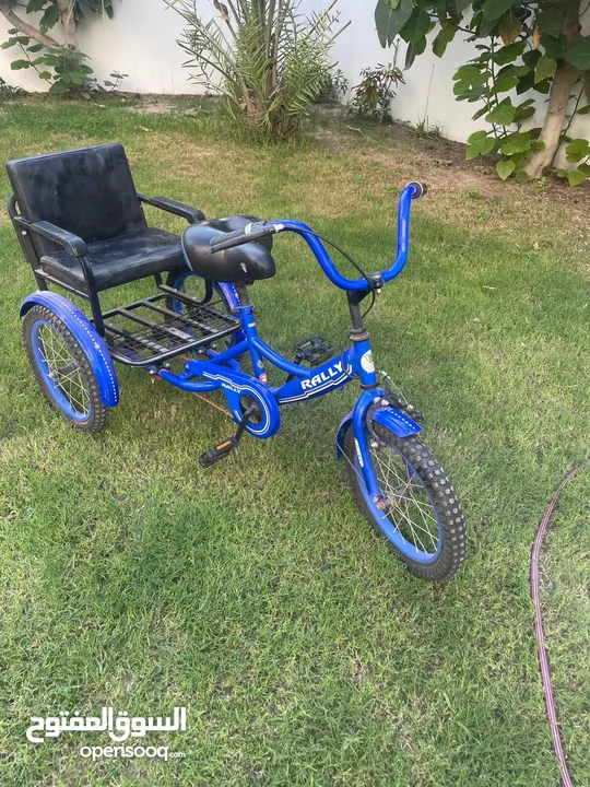 3 Wheel Cycle