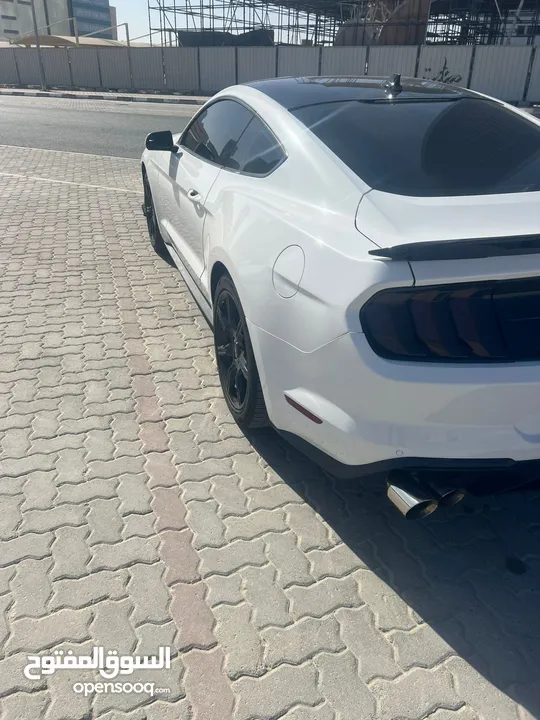 Ford Mustang 2020 ecoboost