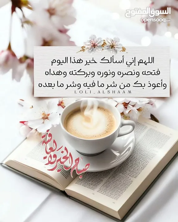 نيسان صني وارد كوري