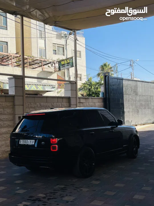 قصي ابو معلا