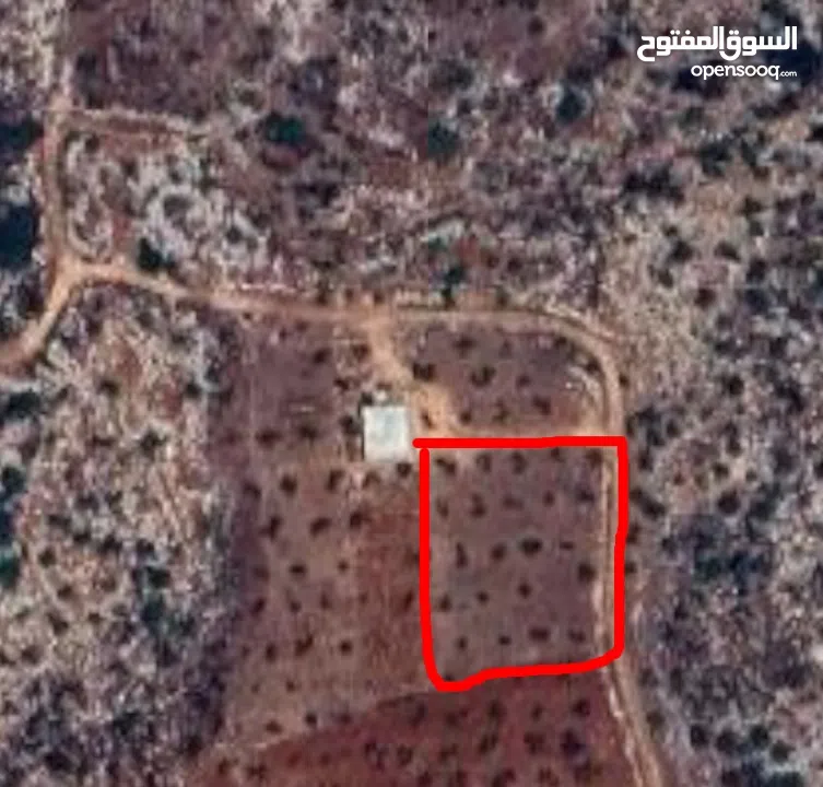 قطعة ارض للبيع في جنين