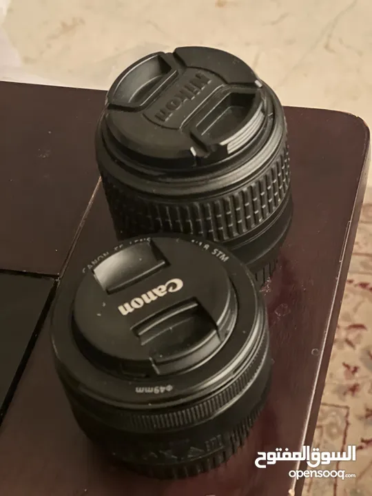 2 lenses (canon and Nikon)
