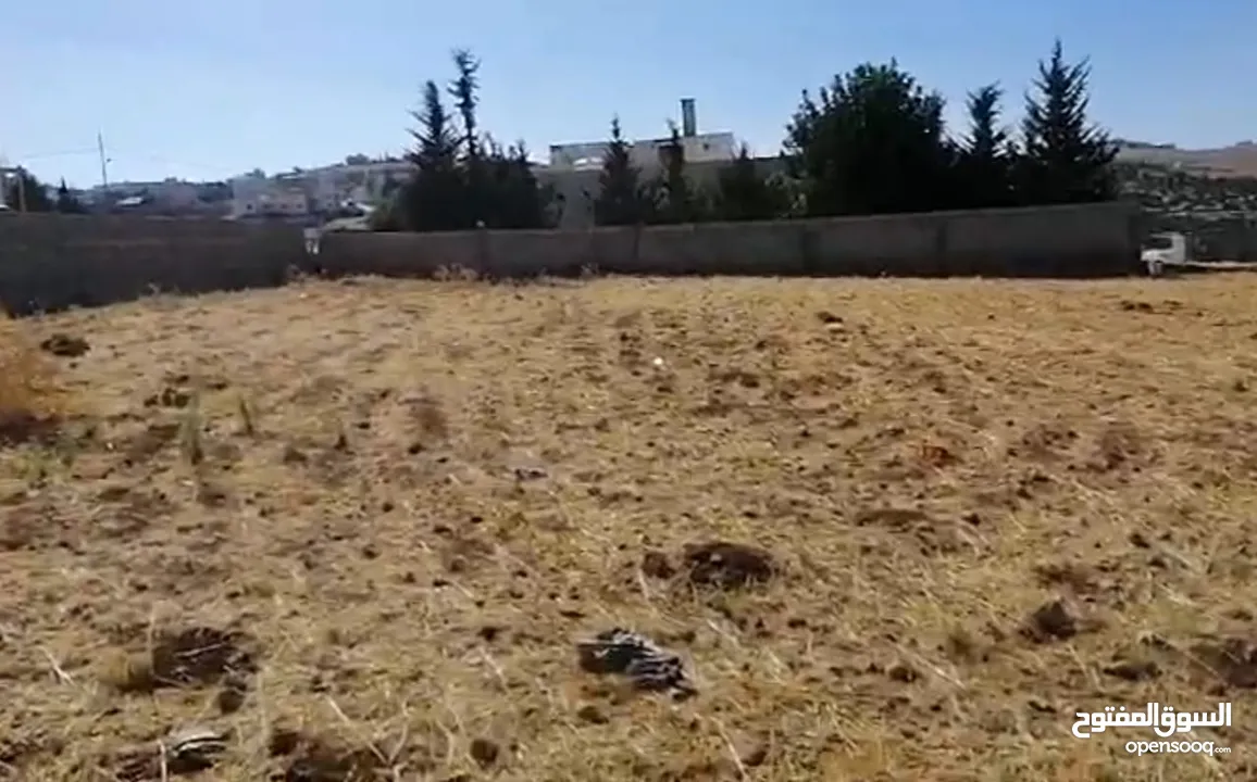 أرض مميزه جدا للبيع بشفا بدران بسعر ممتااااز