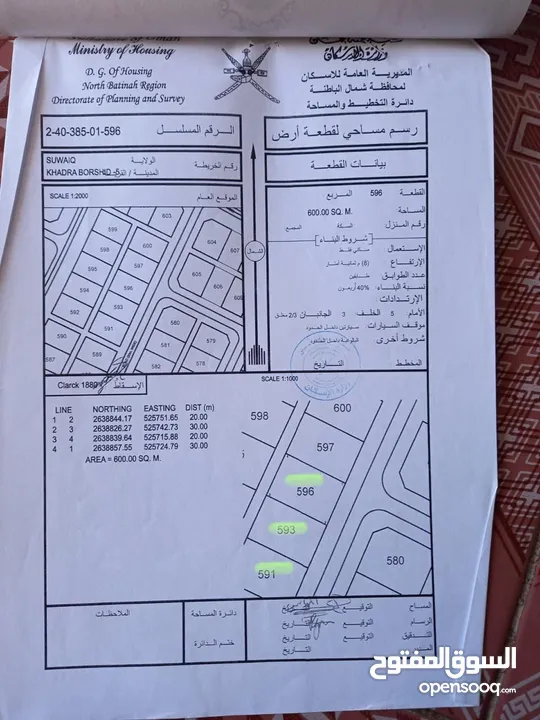 3 قطع شبك خضراء بورشيد الخامسه الغديره مخطط جميل جدا