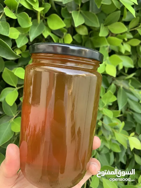 عسل بلدي اصلي ( زهور وربيع الأردن )