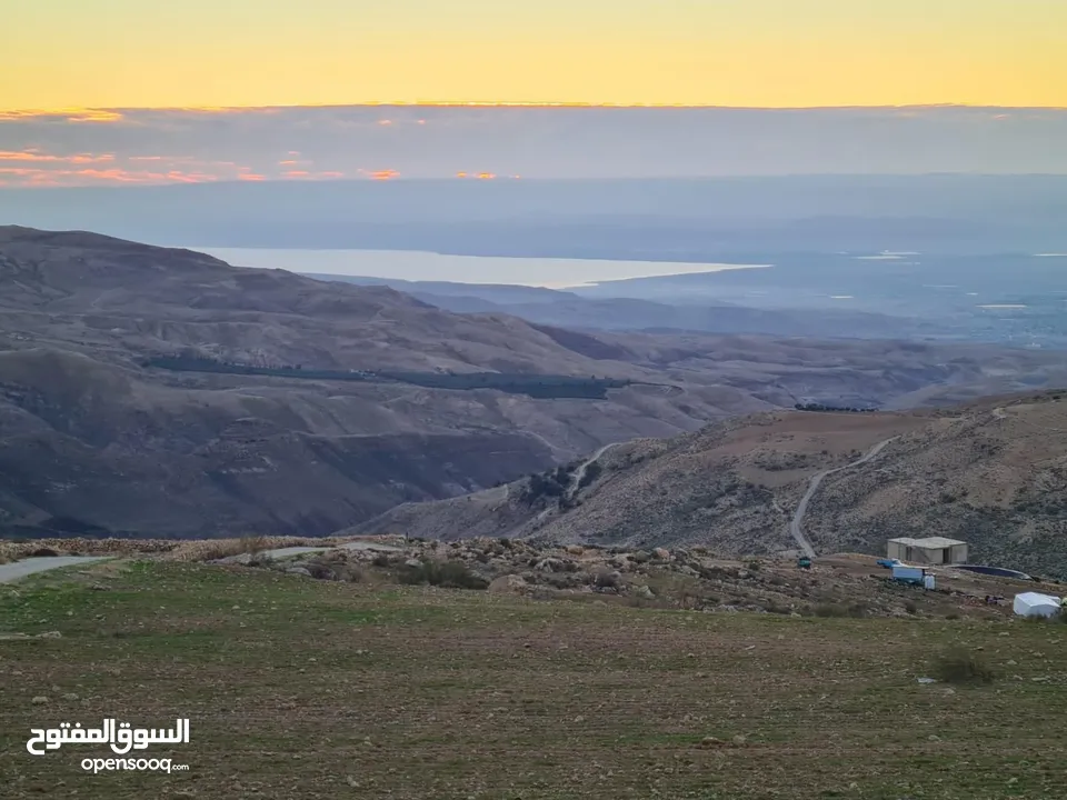 شاليهات ومزارع فخمه داخل ناعور مسبح مدفى