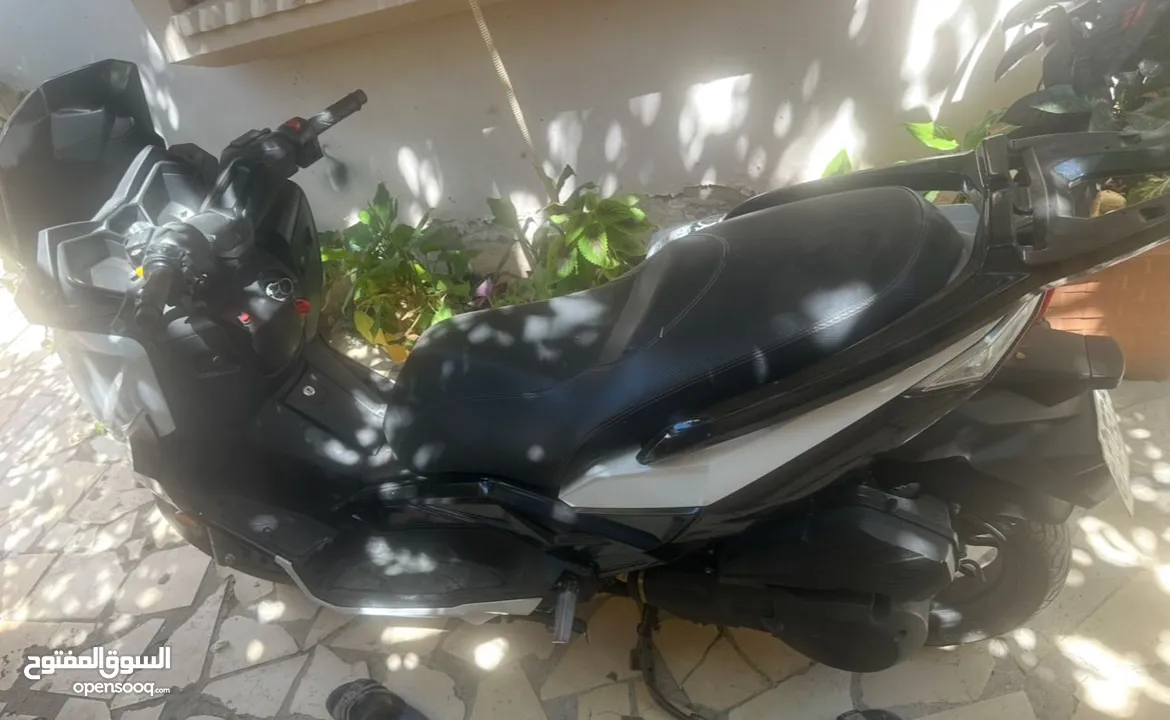 فسبة قانوني ضفه 2023 ماطور 150 ماشيه 13 الف