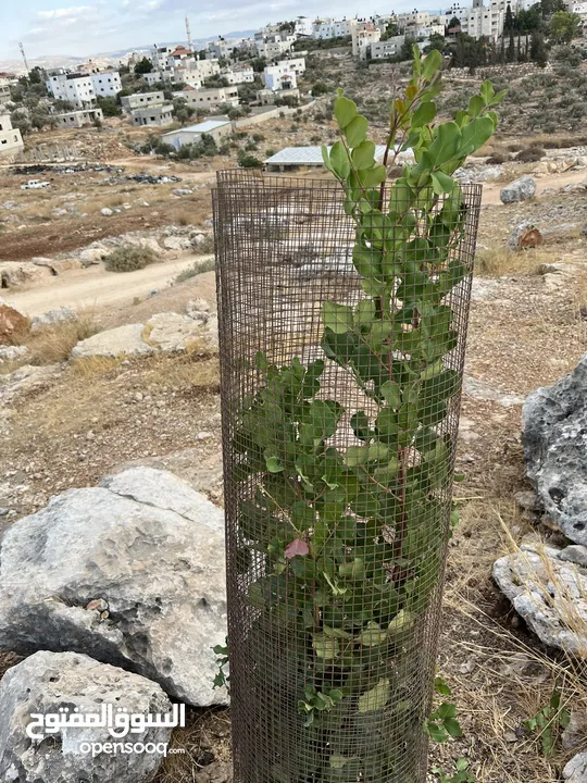 قطعة أرض للبيع في ديرقديس