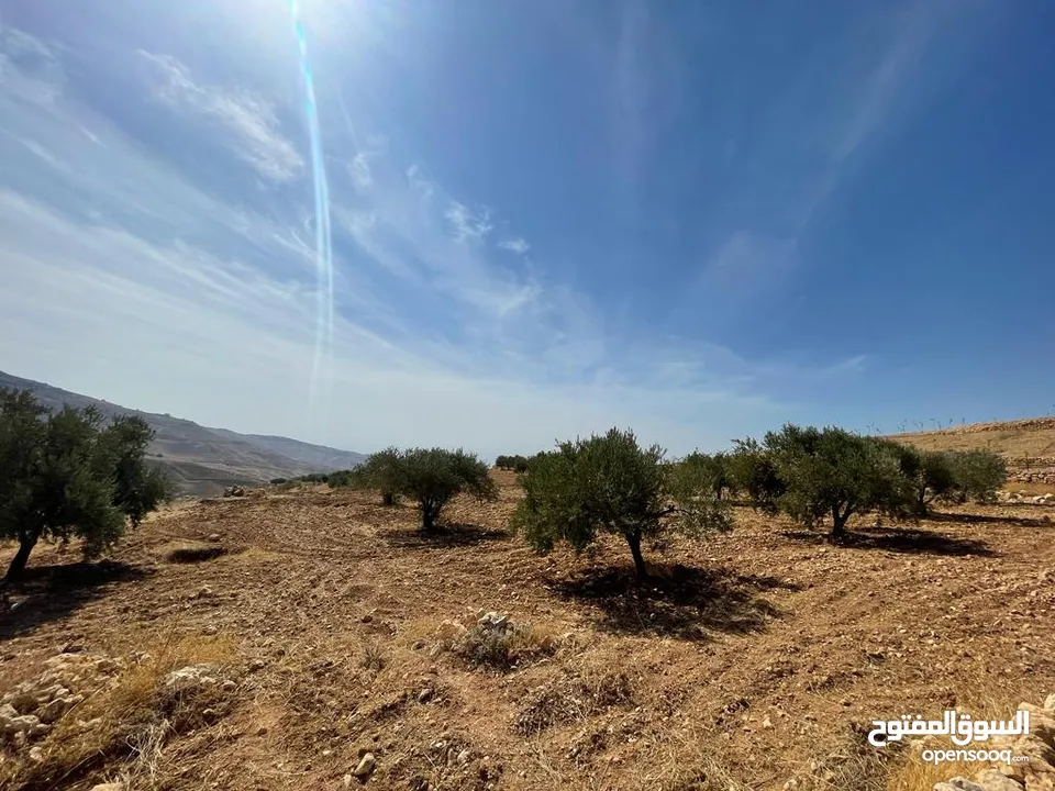 قطعة ارض زراعية مميزة ومطلة من اراضي غرب السلط -  للبيع من المالك مباشرة