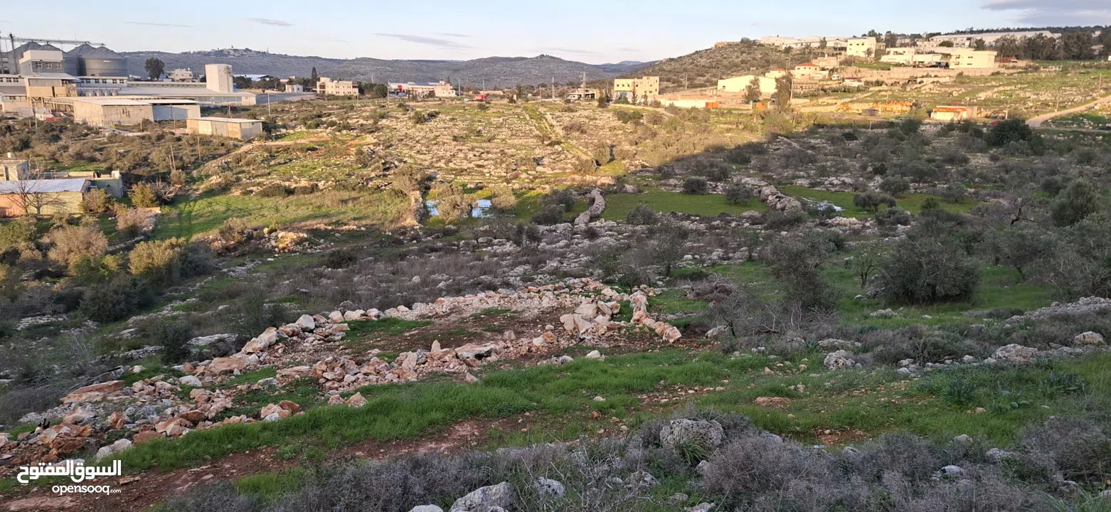 800متر طابوا فلسطيني في اجمل موقع بالكفريات واطلالة مميزةمنطقة( b)صالحة للبناء