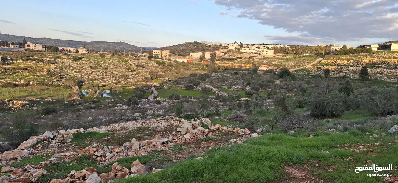 800متر طابوا فلسطيني في اجمل موقع بالكفريات واطلالة مميزةمنطقة( b)صالحة للبناء