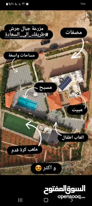 مزرعه للايجار في جبال جرش VIP