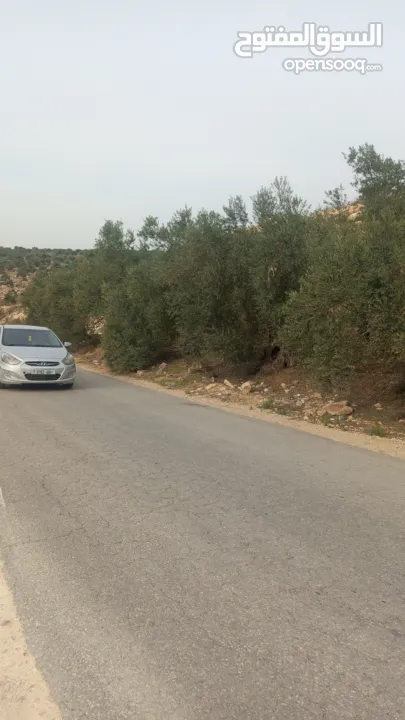 ارض على طريق بلعا دير الغصون قبل مفرق اكتابا