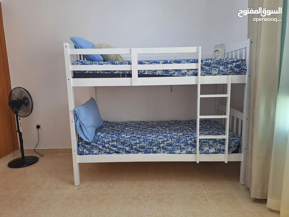 One month old bunk beds