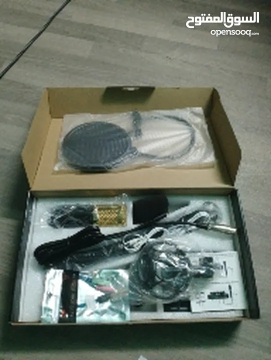 PROFESSIONAL CONDENSER MICROPHONE