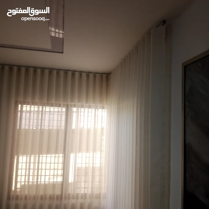 الزيبرا ودبل رول ورول
