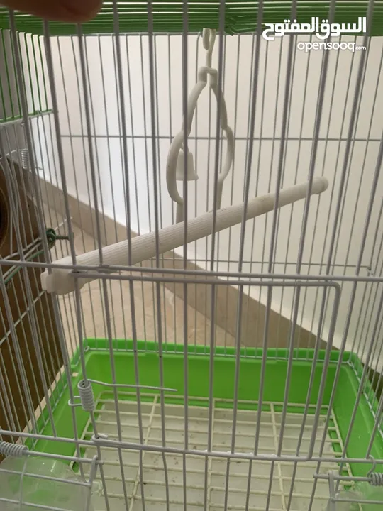 إعلان بيع بيت عصفور واسع ومجهّز بالكامل!  فقط مع جميع المستلزمات ومع بيت خشبي للشتاء