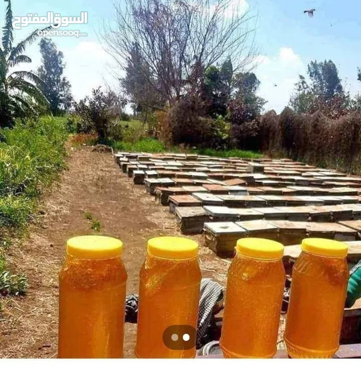 منتجات عطاره
