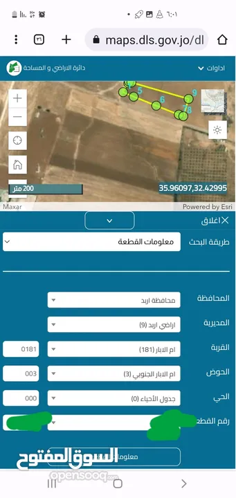 للبيع في اربد قرية ام الابار حوض ام الابار الجنوبي مساحة  7004 متر مربع وجهة القطعه غربيه سعر مغري ج