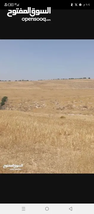ارض زراعية للبيع  .. قطعه زراعية .   محافظة مادبا . ذيبان . مليح . حوض العلاقي . مساحة اربع دنمات