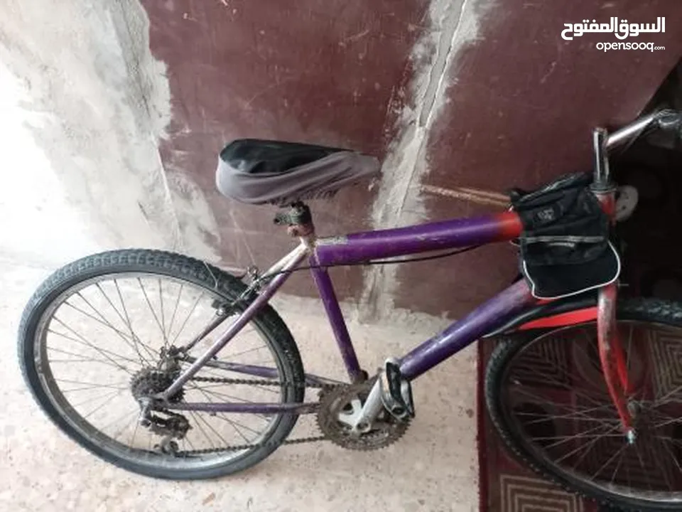 بسكليت نمره 24 ما بحتاج اشي