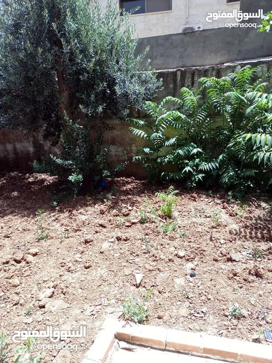 شقة فارغة - خلدا - 3نوم - 140م