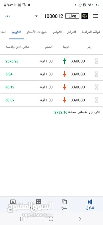 مشروع استثمار