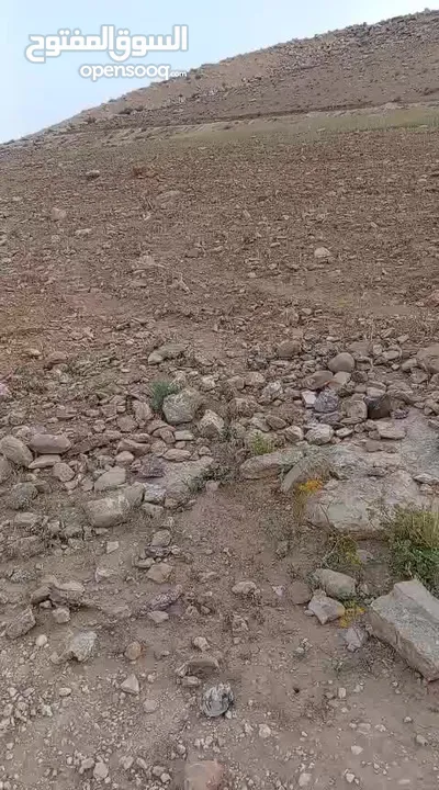 ارض للبيع طريق 100 بسعر مغري جداً