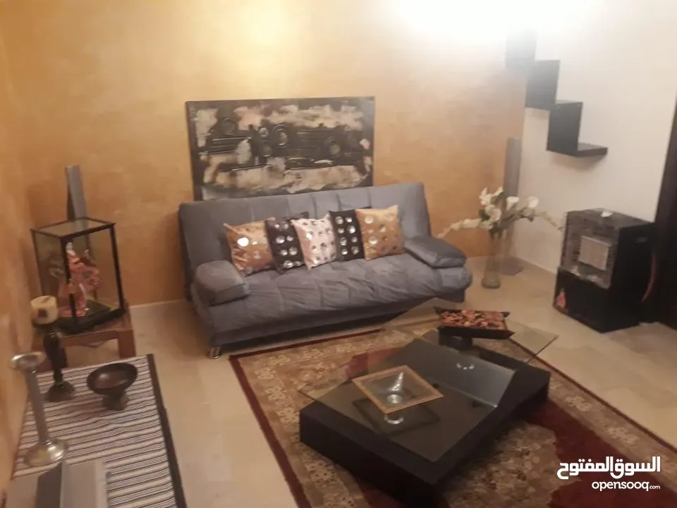 Fully Furnished Villa for rent