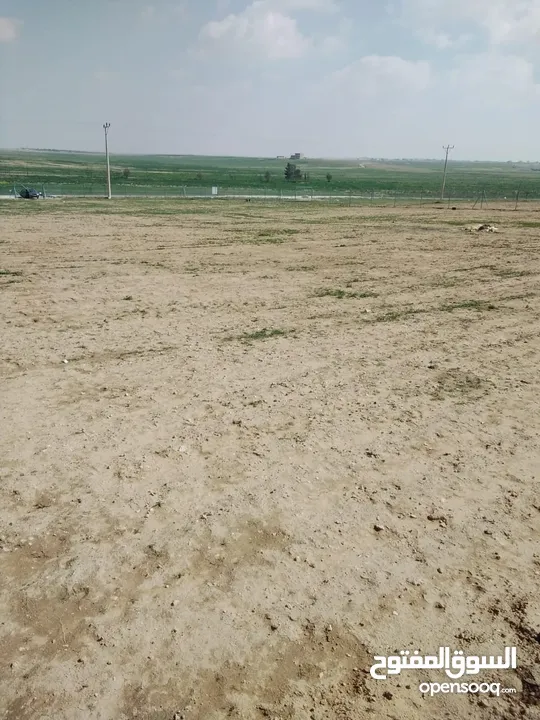 قطعة أرض في أم الرصاص