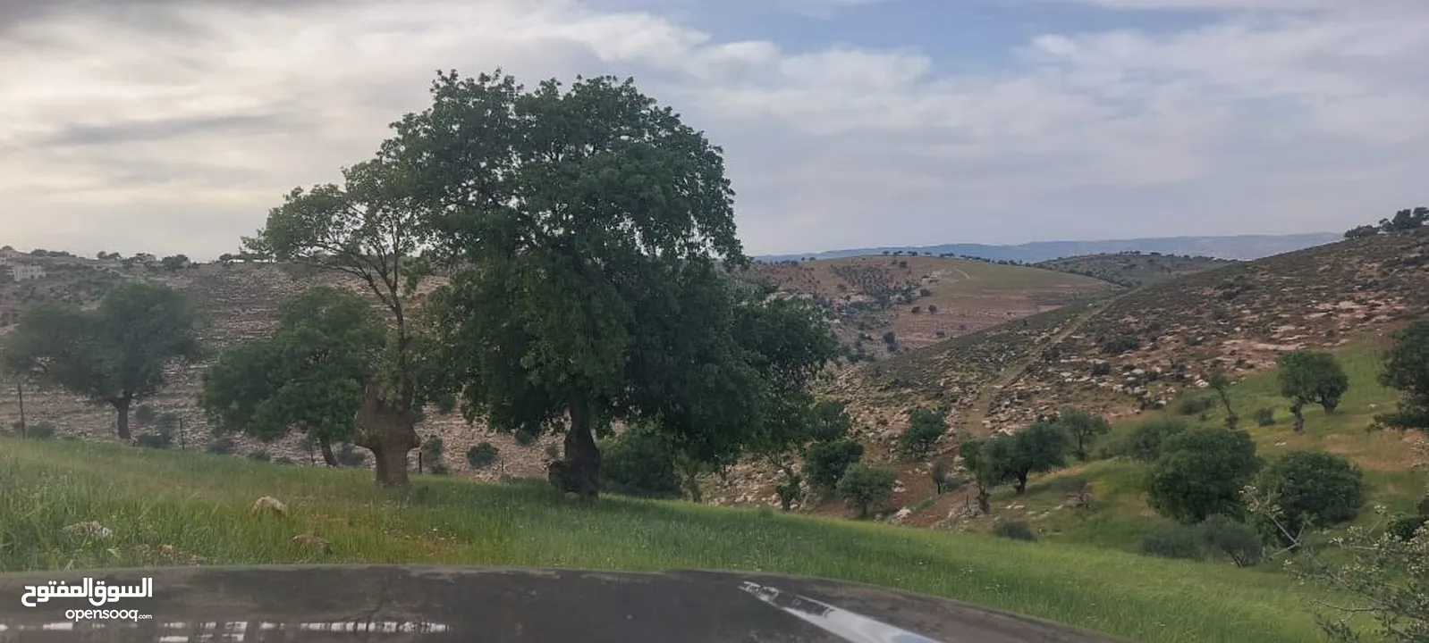 الكمشه حوض المكمان 3405 م على شارعين اطلاله شماليه غربيه رائعه مستصلحه ومسوره قرب الخدمات