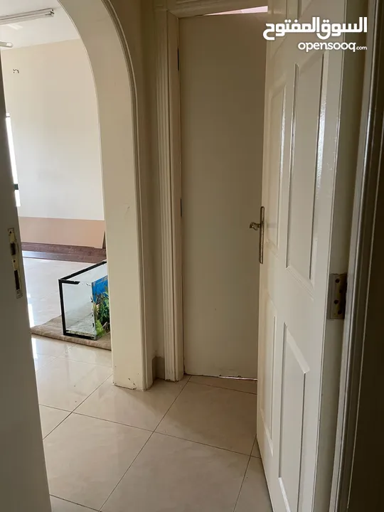 Room for rent near oasis mall